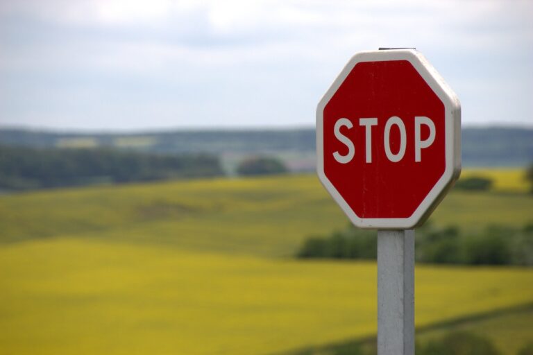 Día Internacional de la Educación Vial