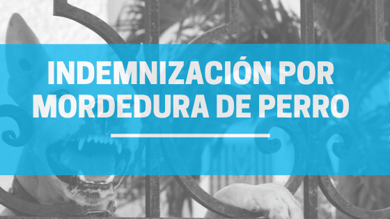 Indemnización por mordedura de perro